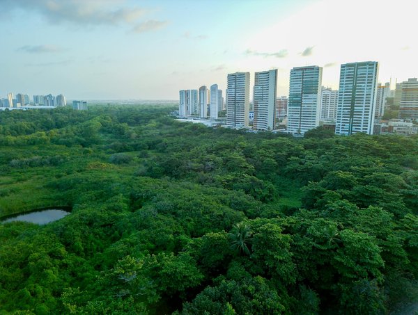 Fenêtres en aluminium sur mesure : la solution à rouen