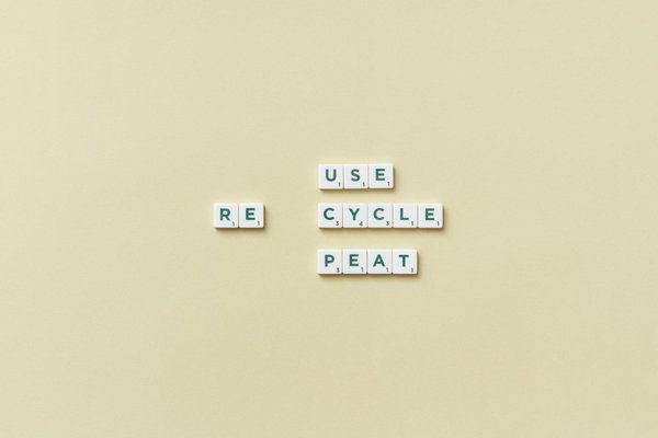 Média en ligne d'actualités : la science au service de l'éducation